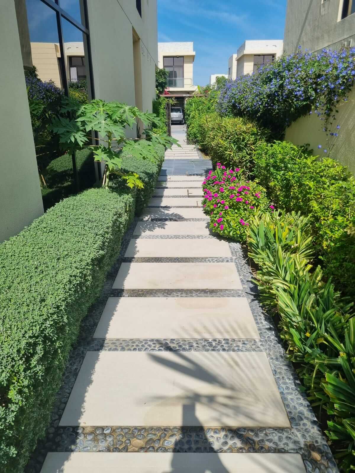 garden plants and stone work